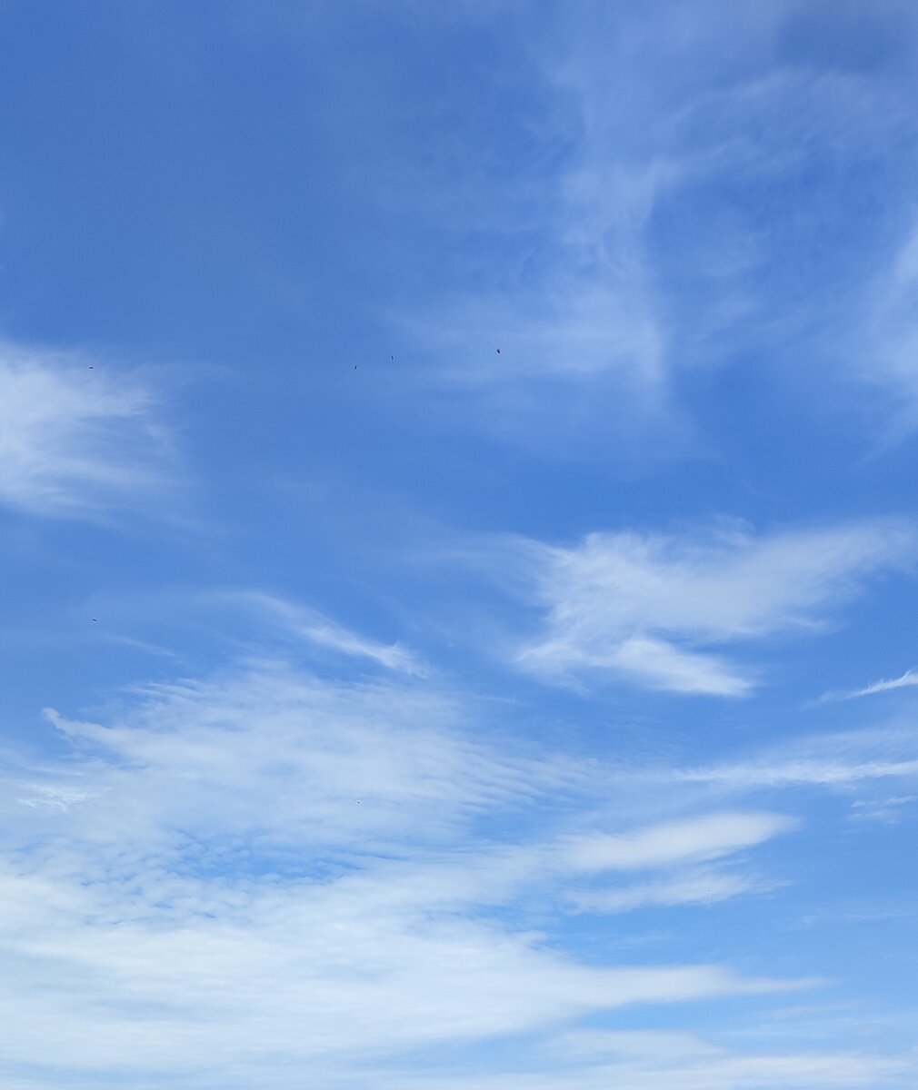 Перистые облака. Фото моё.