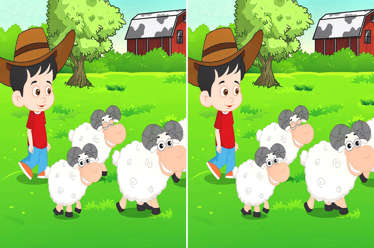 2 отличия