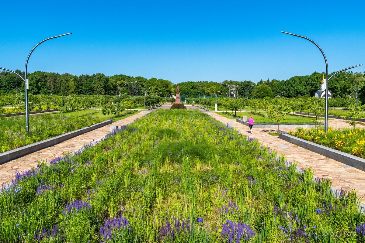 Большая картина полей