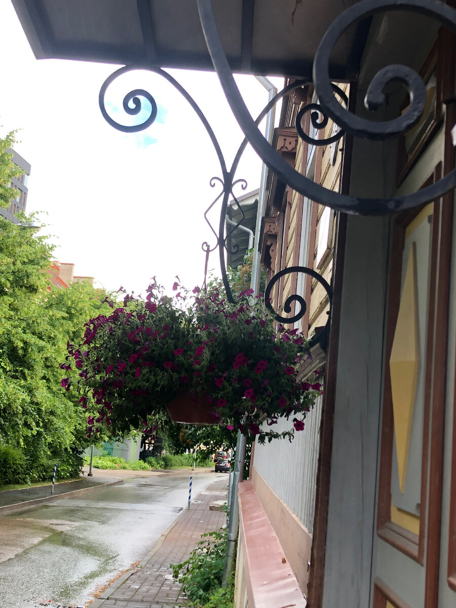 После дождя. Фото автора 