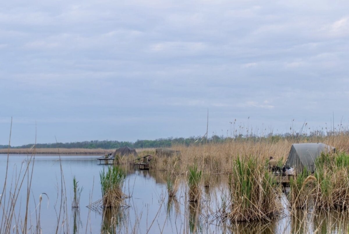 Фото с сайта: https://www.rybolov-kem.ru/images/stories/otchyoty/2022/070622_9.jpg