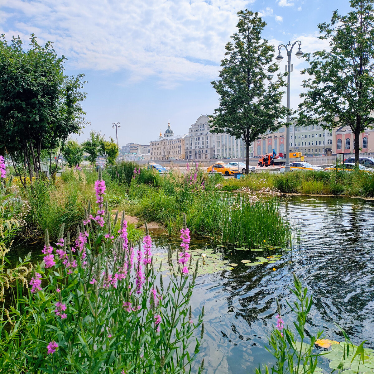 москва парки пруды