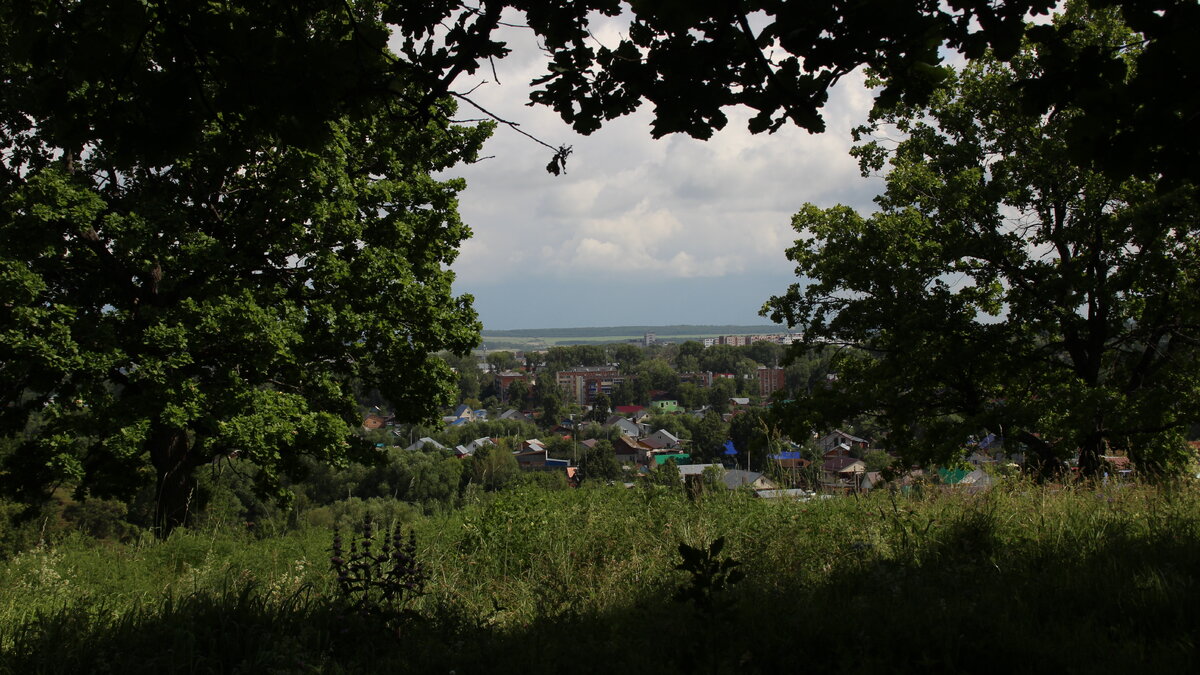 Лес на горе с видом на город