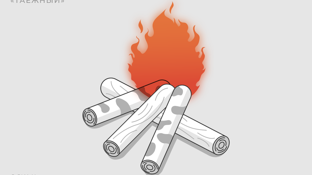    Виды костров. "Таежный"© Инфографика