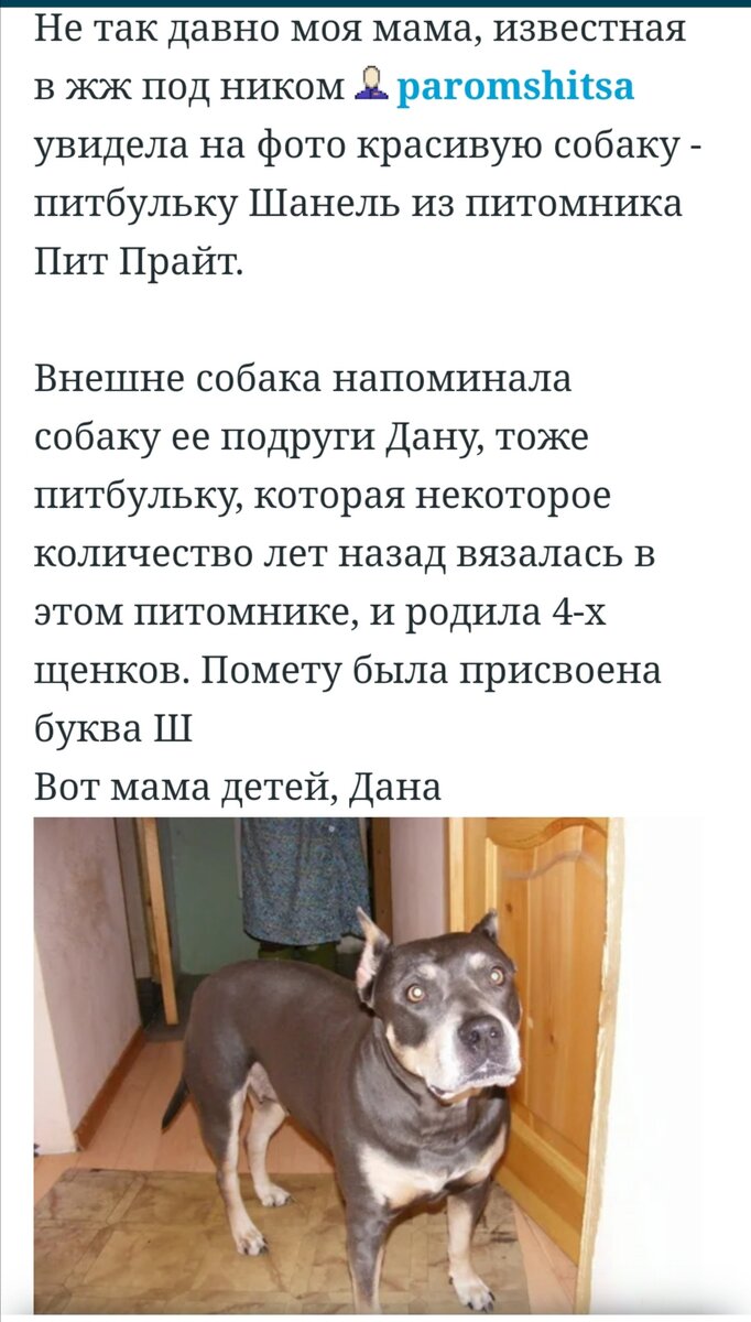 Что за документ - родословная. На примере питомника Пит Прайт.