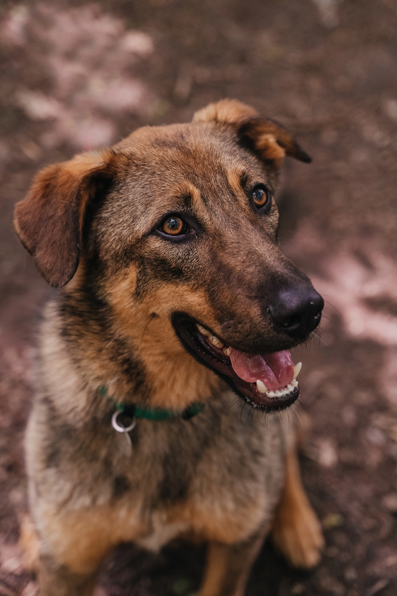 Только посмотрите на эту мордочку