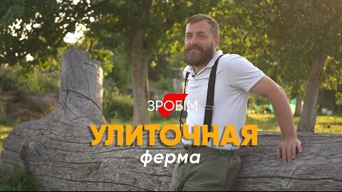 Улиточная ферма: как заработать на слизняках состояние