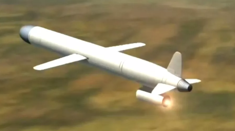 Х-101 говорится, что похожа на "Буревестник".