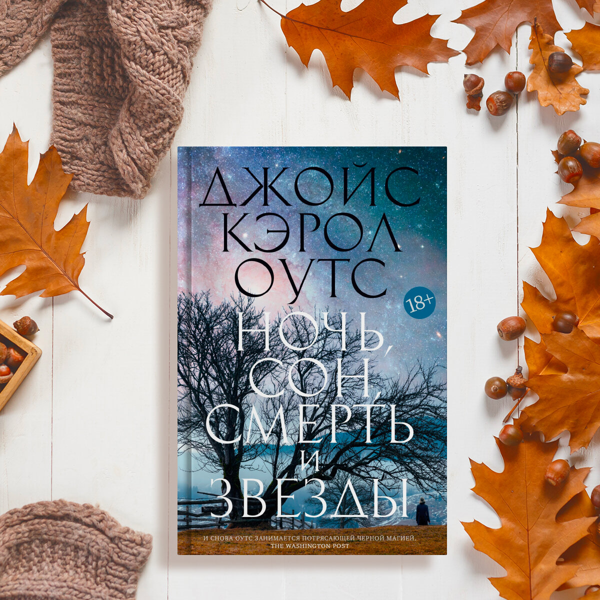 Иллюстрации: Ольга Кириллова