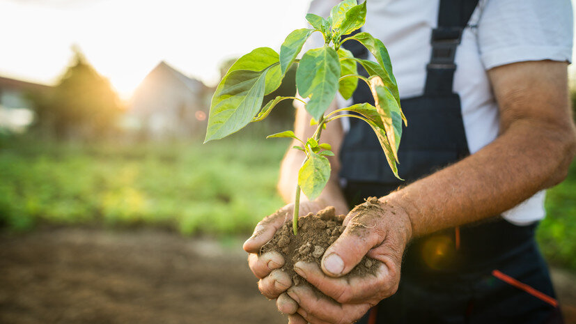   Gettyimages.ru Constantinis