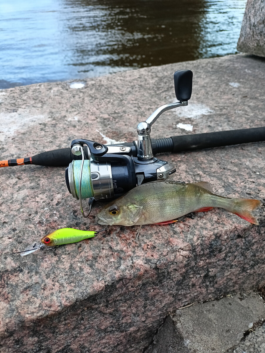 Не охотно позирует.