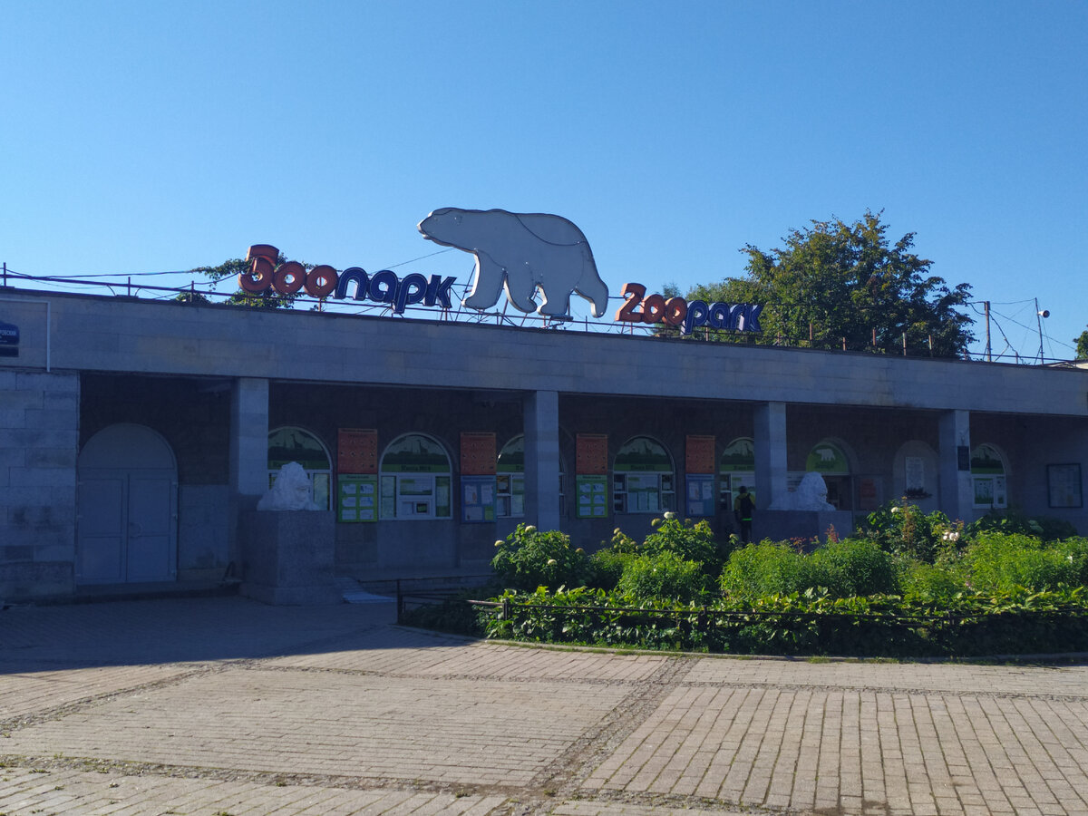 личное фото автора