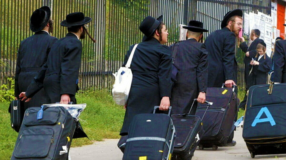 Фото Яндекс. Картинки. 