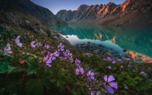    Фото: tripsforfriends.ru. Татьяна Дворянчикова