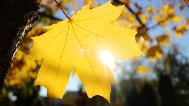 Фото: Photobank Ura Media / 1MI