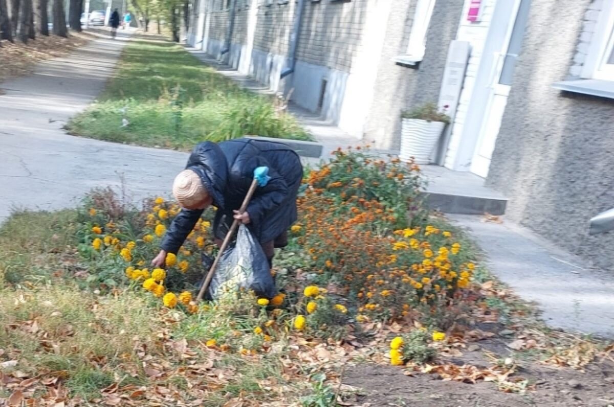    В Новосибирске пожилую женщину обвинили в краже цветов с клумбы