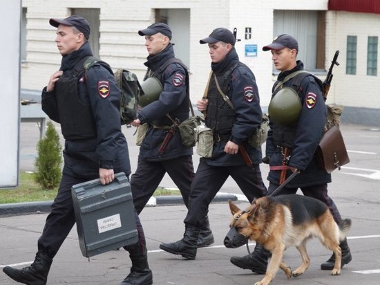     фото: пресс-служба администрации Кисловодска