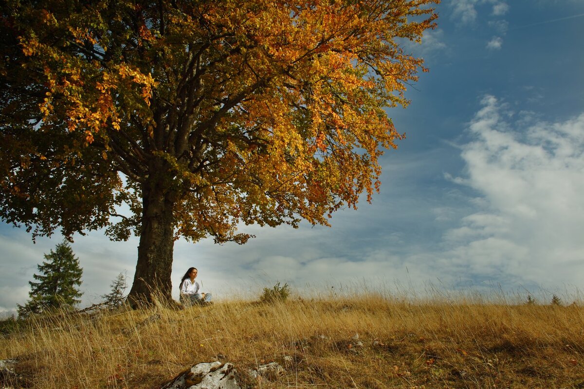 Фото из интернета.