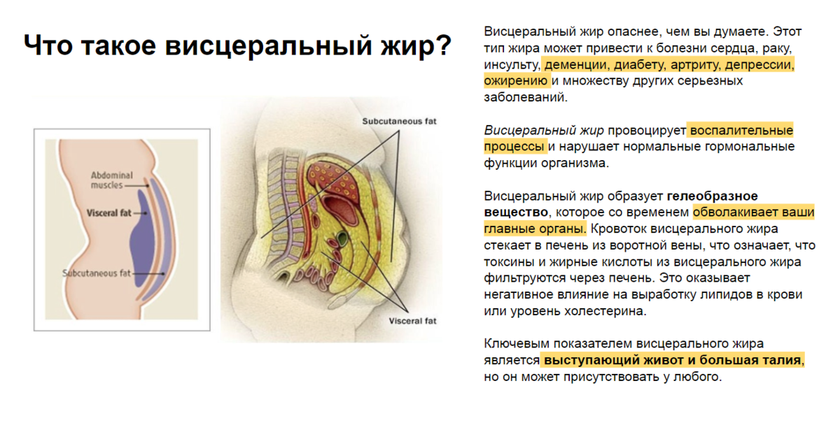 Как плоский здоровый живот желание Жить создает