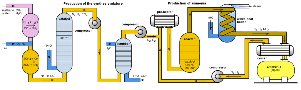    Упрощенная схема современного химического завода, применяющего процесс Габера—Боша для производства аммиака. Фиолетово-розовый овал — первичный риформер, на который подается метан (CH4) и вода (H2O), здесь происходит частичное разложение природного газа на молекулярный водород (H2) и оксид углерода (CO). Затем в систему подается очищенный воздух (кислород и азот), которые во вторичном риформере (горчичный овал) смешиваются с продуктами первичного и помогают дополнительно разложить метан. Далее смесь поступает в реактор, где при помощи катализатора и с добавлением воды метан окончательно расщепляется, а угарный газ окисляется до углекислого. На выходе получается синтез-газ из азота, водорода и CO2, его сжимают и отправляют на очистку от углекислоты в скруббер. После него азот и водород уже снова под давлением дополнительно нагреваются и идут непосредственно в реактор производства аммиака (второй горчичный овал). Выход продукта не стопроцентный, поэтому непрореагировавшие азот с водородом после охлаждения и сепарации аммиака снова поступают в реактор / ©Francis E Williams, Wikimedia