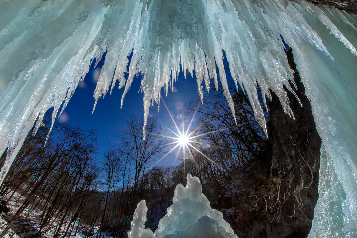 Яндекс.Картинки
