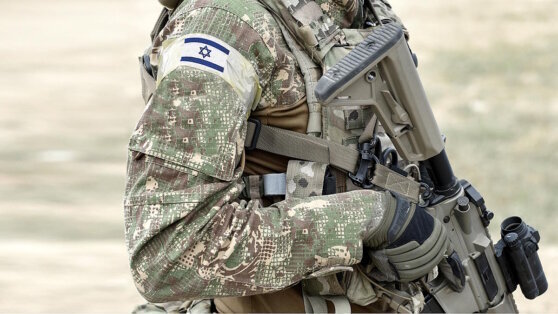    Израиль направит две роты на усиление полиции в Иерусалиме и на Западном берегу Анна Оленькова