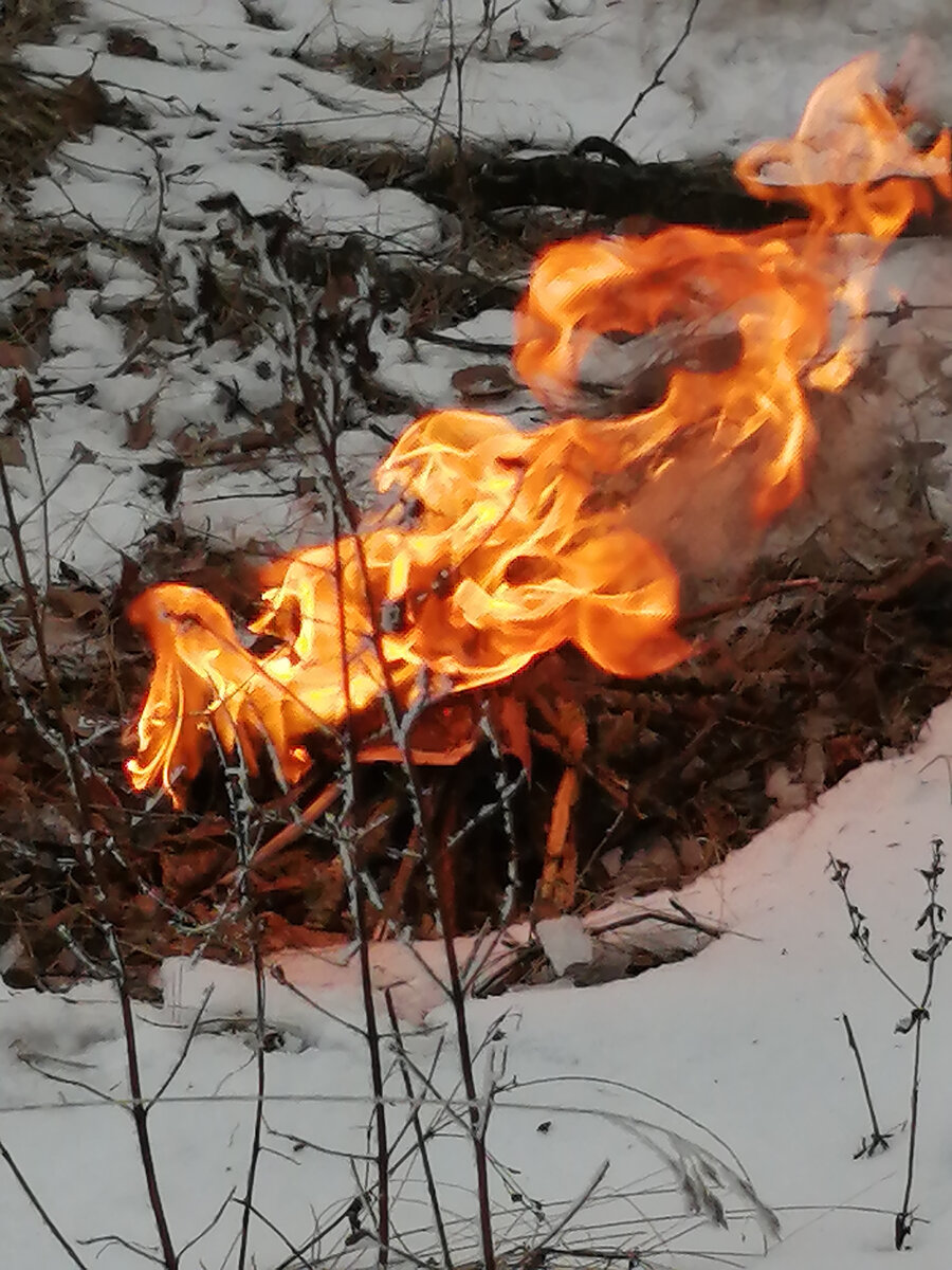Костёр в зимнем лесу - просто для хорошего настроения. 