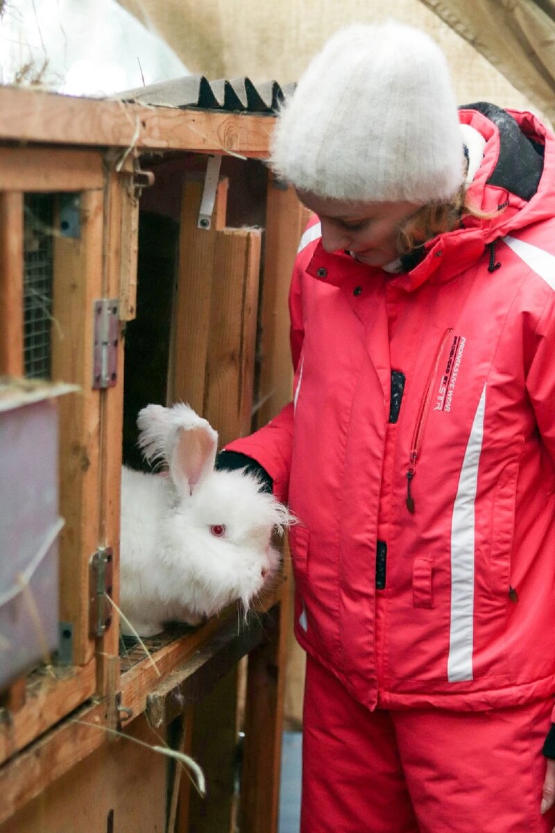 Пришла кормить пуховых кроликов