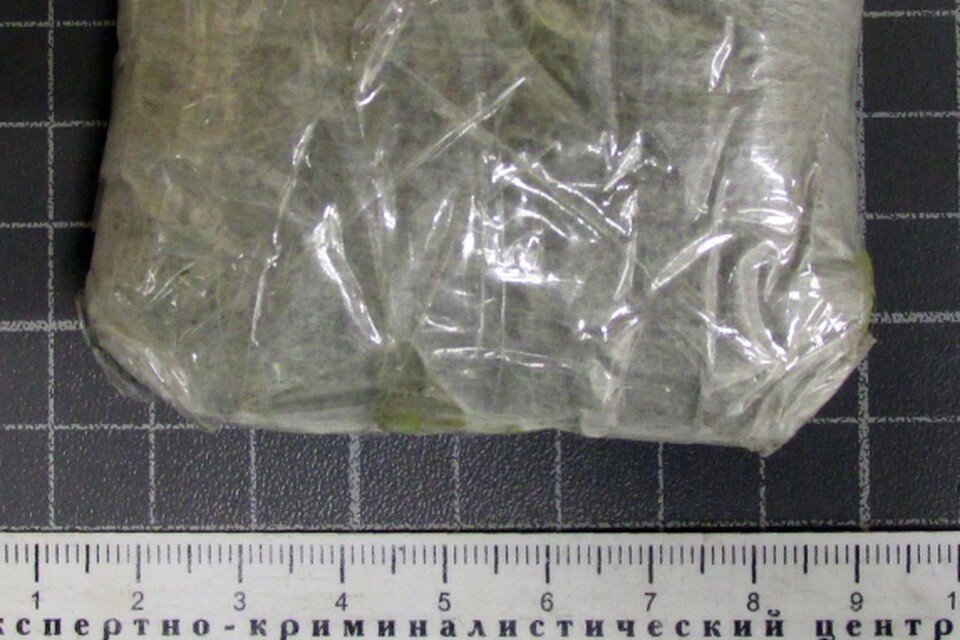     В Липецке полицейские задержали прохожего со свертком марихуаны массой 18,6 грамм  Пресс-служба УМВД Липецкой области.