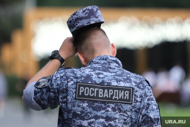    Жителя Курганской области будут судить за нападение на сотрудника Росгвардии