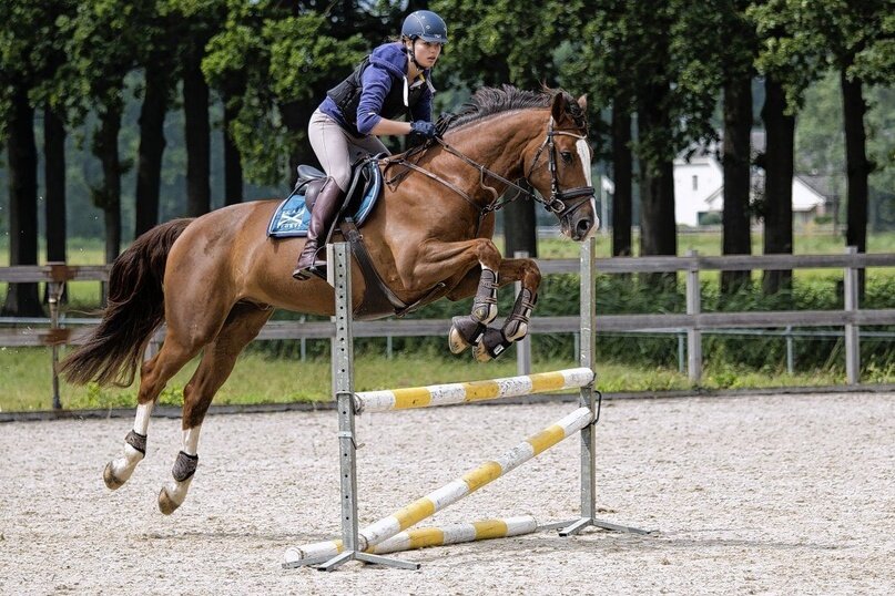 Изображение: Pinterest