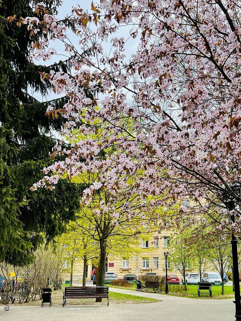 Фото: fotostrana