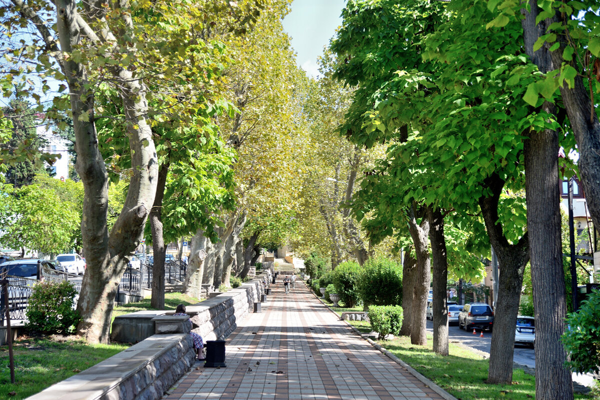 Фото: © Александр Байдуков, лицензия CC BY-SA 4.0, commons.wikimedia.org 