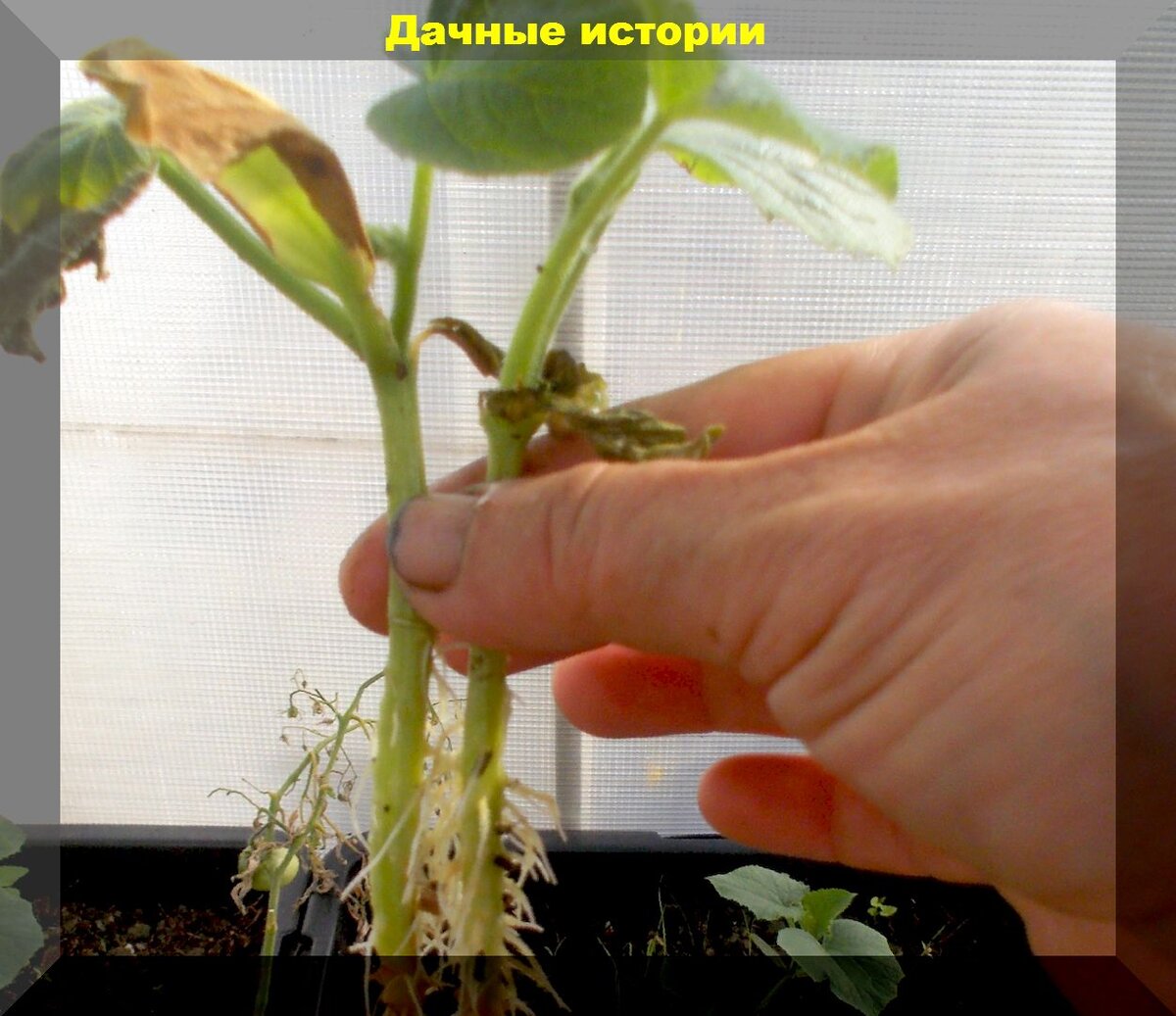 https://vk.com/photo-159774511_457248052