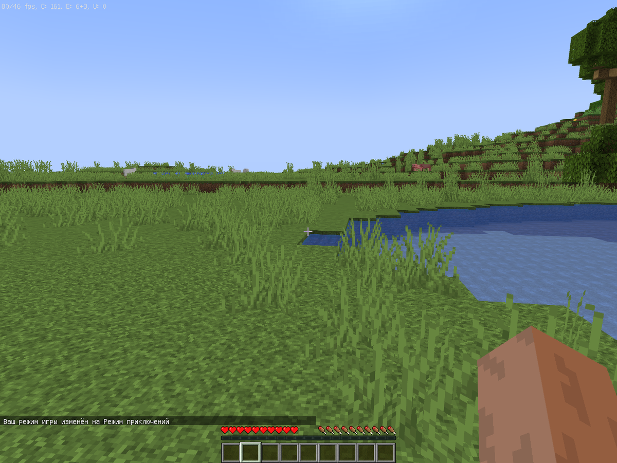 Я изначально заготовил мир, чтобы спуститься в пещеры.