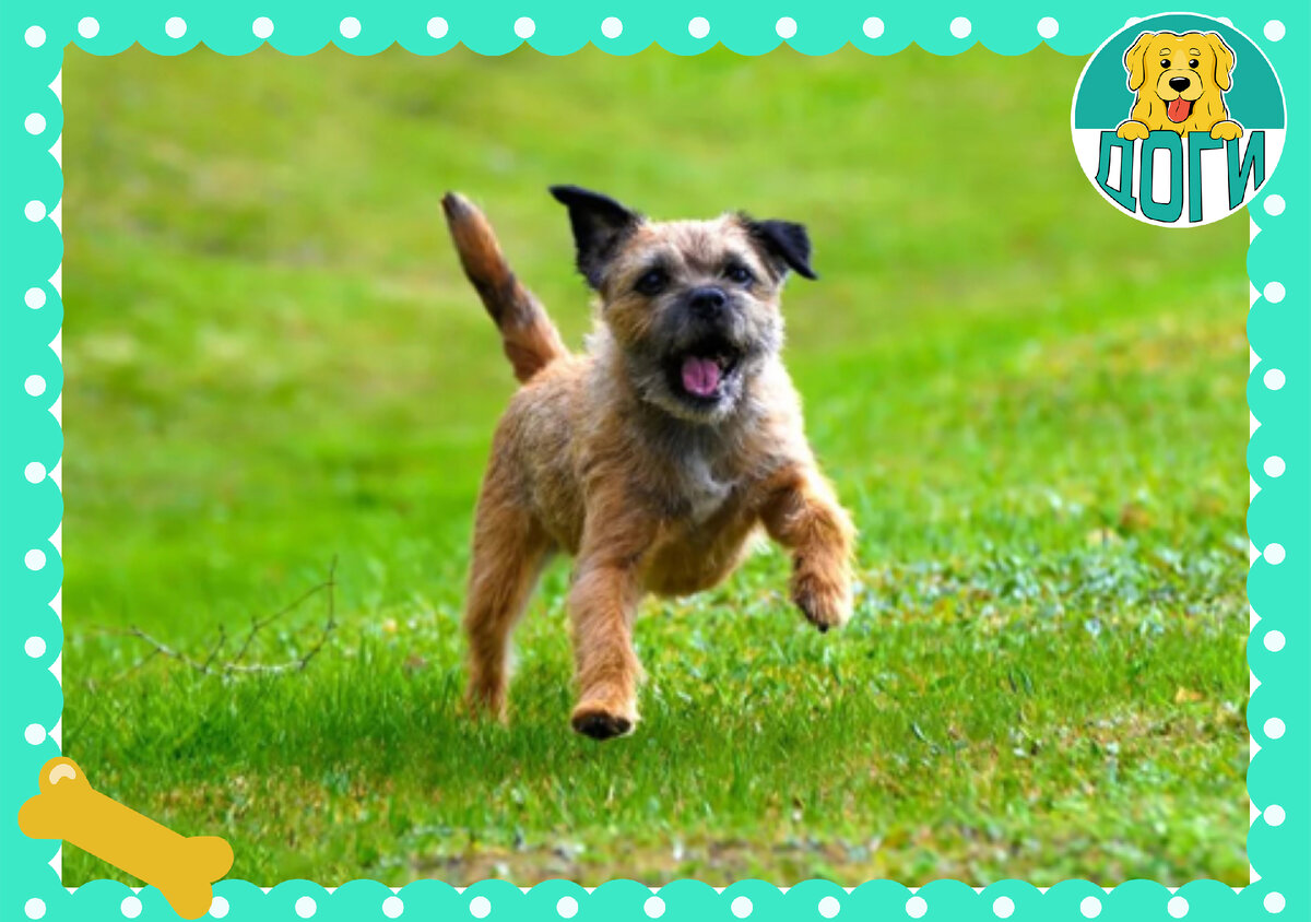 На пробежке. Фото в свободном доступе