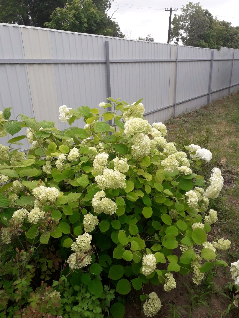 Все фото в статье мои