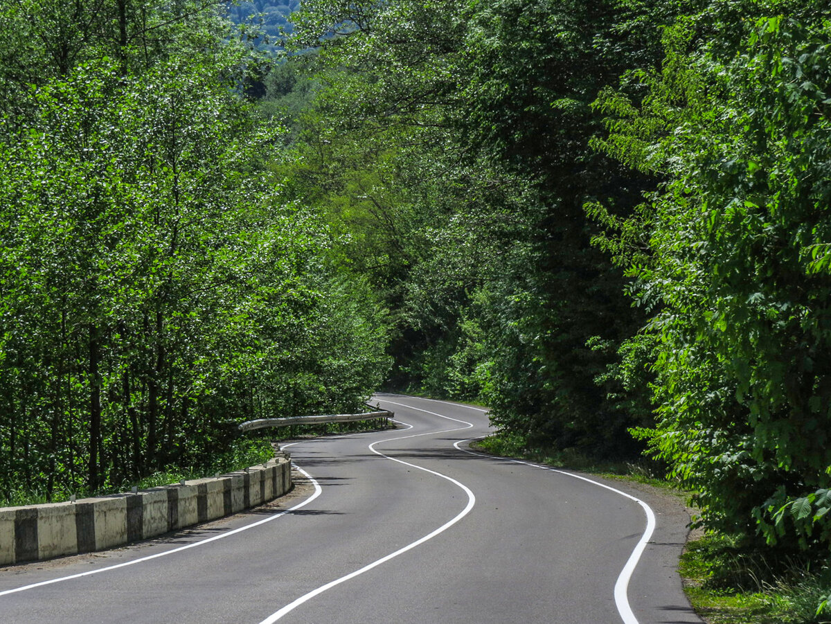 Здесь и далее в публикации фото автора, 21.05.21 г. Трасса Майкоп-Гузерипль.
