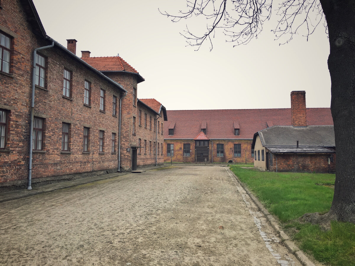 Acesta este probabil cel mai faimos lagăr al morții din Auschwitz-Birkenau, al cărui nume sună mai des ca Auschwitz - după numele original polonez al orașului în apropierea căruia se afla lagărul.-3