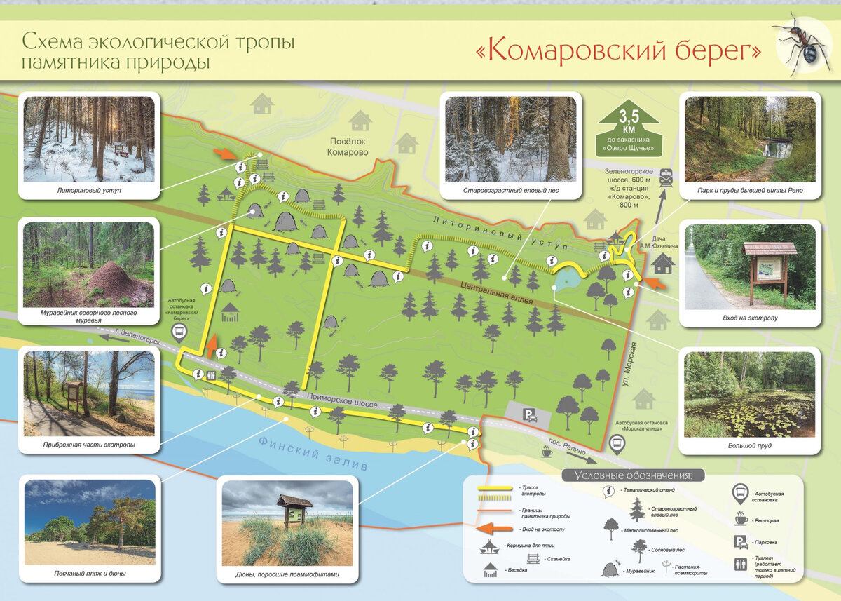 http://oopt.spb.ru/protected_area/komarovskiy-bereg/%D1%8D%D0%BA%D0%BE%D0%BB%D0%BE%D0%B3%D0%B8%D1%87%D0%B5%D1%81%D0%BA%D0%B8%D0%B9-%D0%BC%D0%B0%D1%80%D1%88%D1%80%D1%83%D1%82/
