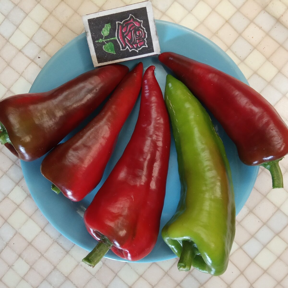 Мои не очень большие