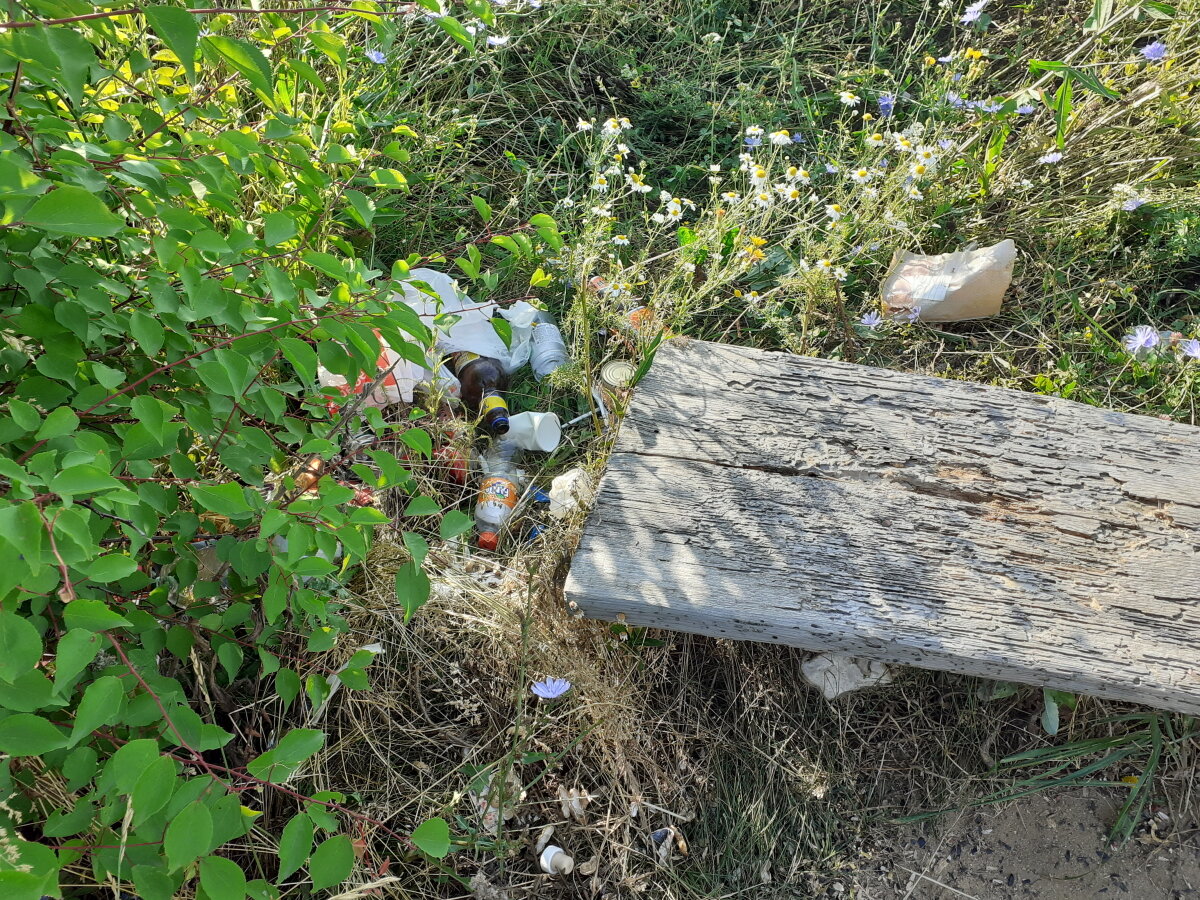 Вот так наш народ культурно отдыхает