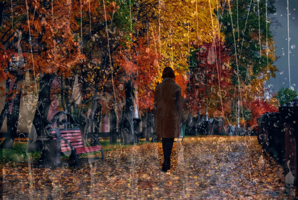 Коллаж из фото с открытых ресурсов интернета.