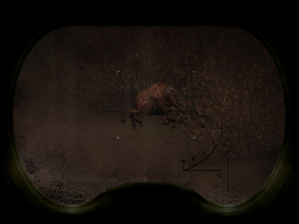 Плоть осматривается