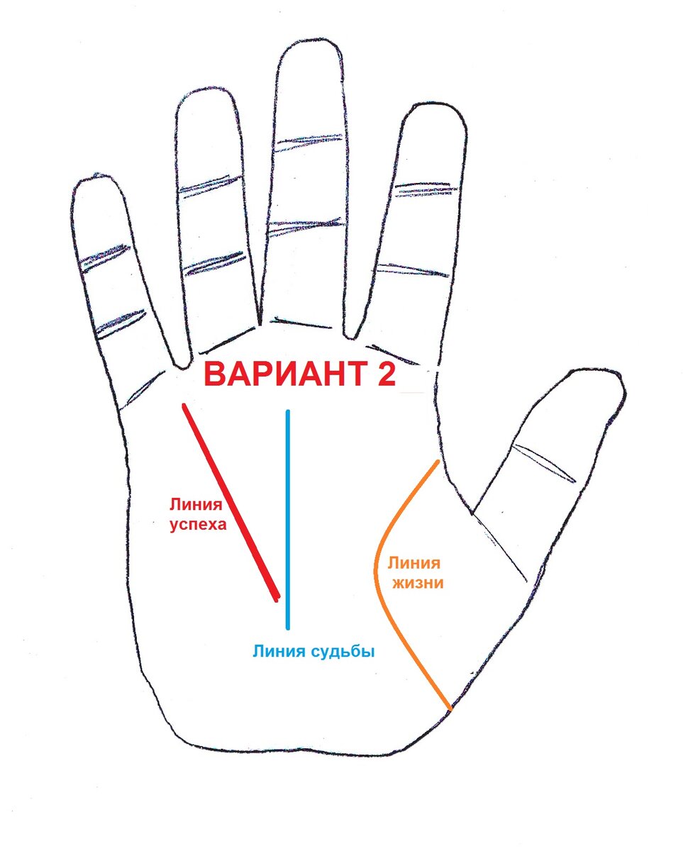 Как выглядит линия жизни на руке