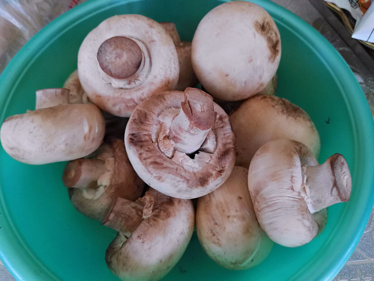 Шампиньоны — грибы с самым слабым вкусом (и дешевые). Рассказываю, как я  придаю им вкус дорогих белых грибов | Соль | Перец | Дзен