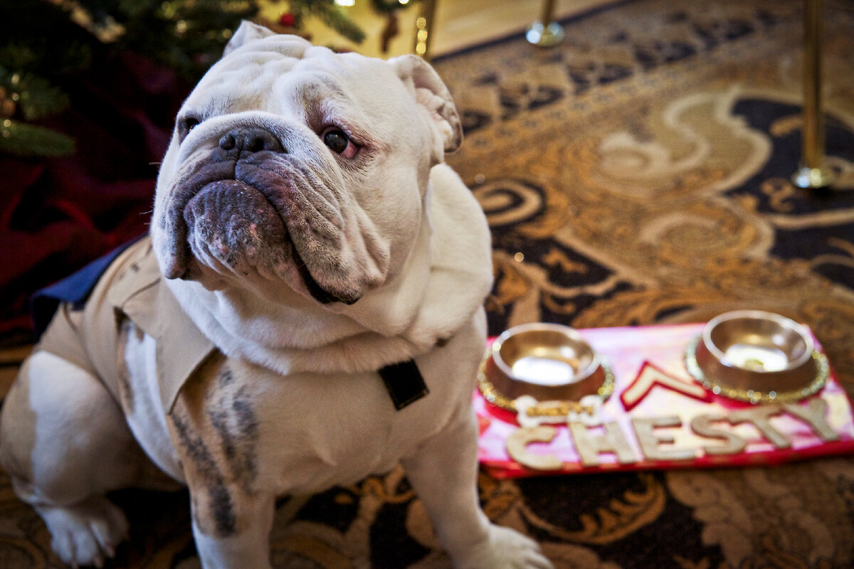 Рациону придётся уделить уйму внимания.