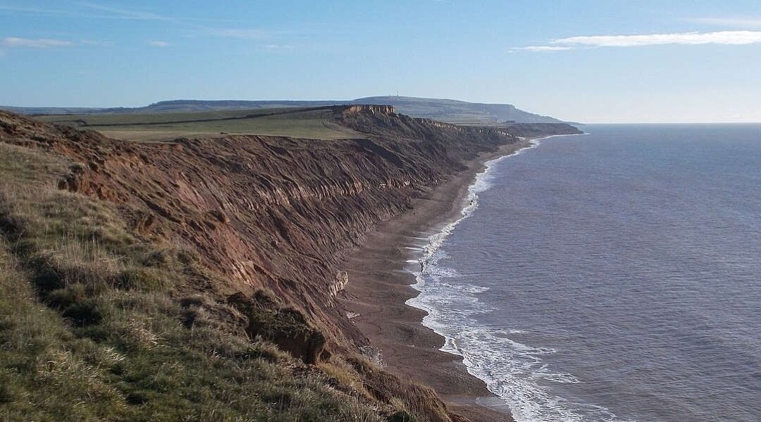 Окаменелости были обнаружены в заливе Брайстоун на острове Уайт.