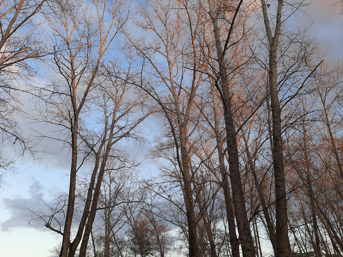 Фото из личного архива