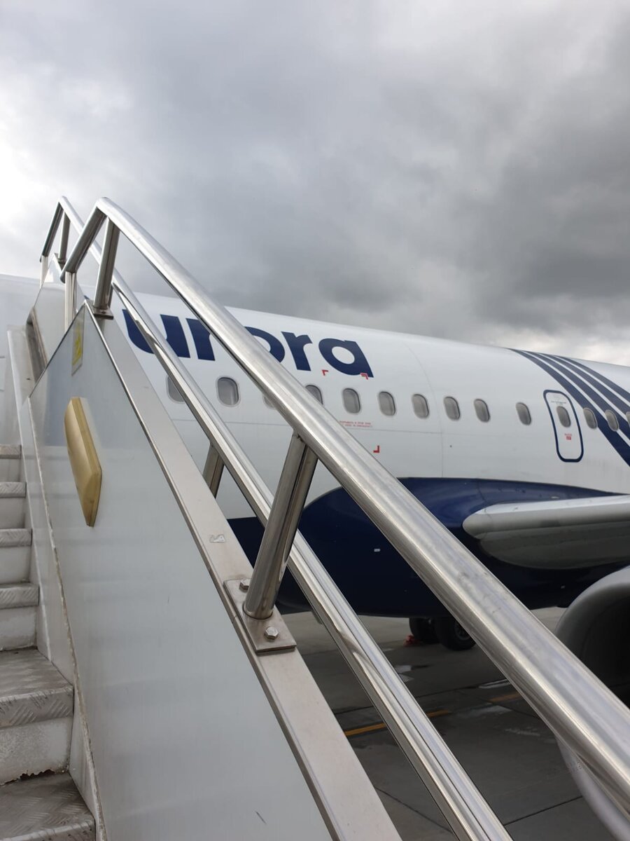 На посадку, у трапа.